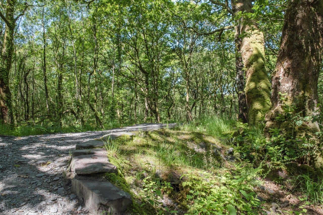 Ultra Trail Snowdonia